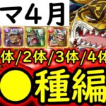 [トレクル]トレマ4月ボス戦＆乱入戦! 全●種まとめ!? 最新特効1体/2体/3体/4体/フル所持の方へ代用可能そうな周回編成![VSベガパンク/VSルッチ][OPTC][treasure map]
