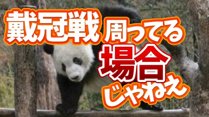 【FGO】フレポ？集めても足りませんけどなにか？【個人VTuber・新人VTuber】