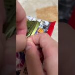 プロ野球スピリッツAチップス開封！ #応援お願いします #チャンネル登録お願いします