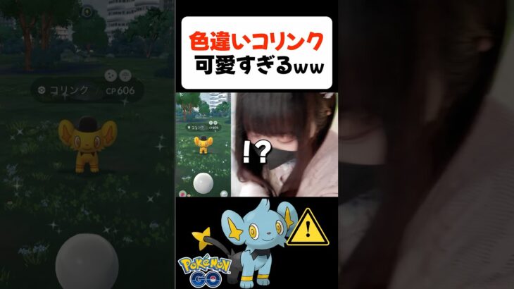 色違いコリンクが可愛すぎるｗｗ【ポケモンGO】 #shorts