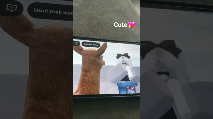 #ウマ娘プリティーダービー #cute💖