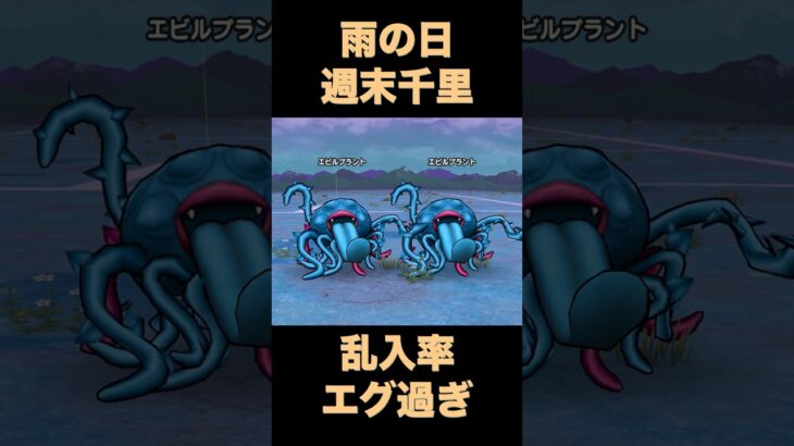 【ドラクエウォーク】雨の日はエビルプラント大量狩り！【週末千里】#ドラクエウォーク #ドラクエ #dqw #dqウォーク