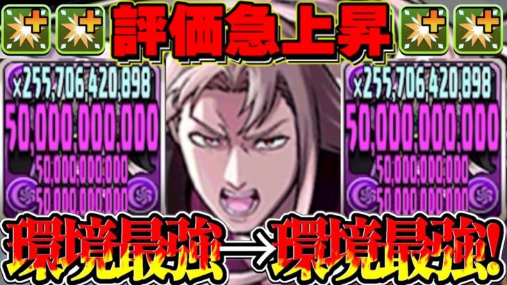 【所持者必見】弱点消滅→最強完成！降臨版虚がぶっ壊れすぎた冥境チャレンジ【パズドラ】