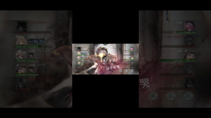 【メメントモリ】コルディ最強#メメントモリ