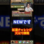 【奇跡起こします】宇髄天元で紅蓮チャレンジに挑戦！ #たかし #パズドラ