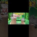 须弥没法破局，弱国无外交啊！ #原神空月之歌 #纳西妲 #赤王 #艾尔海森