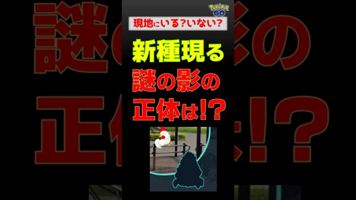 【新種！謎の黒い影を追って、急げ】 #ポケモンgo #pokemongo #ポケモン #タンドン #トロッドン