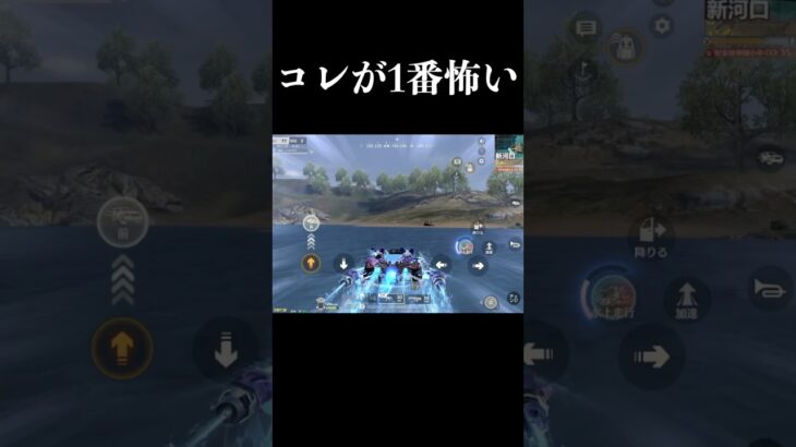 ガチで怖過ぎるの映ったんだがwwww　#荒野行動