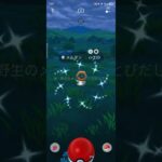 色違い　メルタン　ポケモンGO