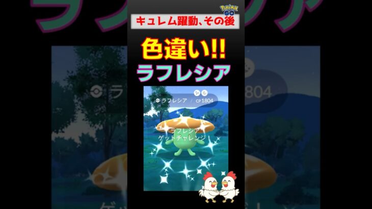 色違い！【ラフレシア！2人討伐】キュレム大活躍【ポケモンGO】