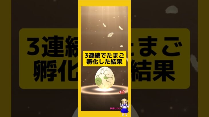3連続でたまご孵化！今回の結果は？#ポケモンgo #たまご孵化 #pokemongo #新道ひかり