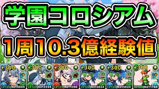 【パズドラ】全キャラプラス上げできます！1周10.3億経験値！私立パズドラ学園コロシアム！学園祭！1周4~5分台！ずらしのみ！カミラ-ミオン×ピーターパン編成でランク上げ周回！