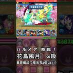 【パズドラ】童磨編成でハルメア 降臨！ #パズドラ実況 #れざおのゲーム実況 #チャンネル登録お願いします