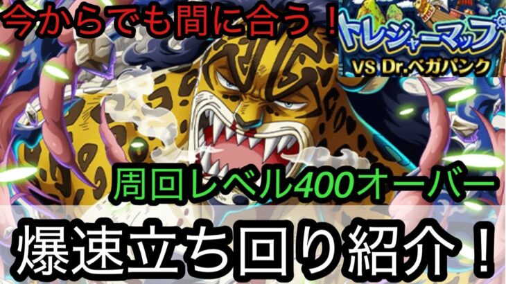 [トレクル]トレジャーマップVSベガパンク爆速立ち回り紹介！今日からでも全然間に合う！レベルが上がっても余裕の火力！[OPTC][トレジャーマップ]
