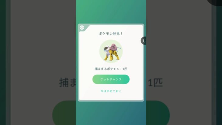 ライコウ⚡️🐅⚡️　#short#game#ポケモンgo #pokemongo #pokemoncards #Pokémon#ライコウ#電気#雷#伝説ポケモン#リワード#個体値