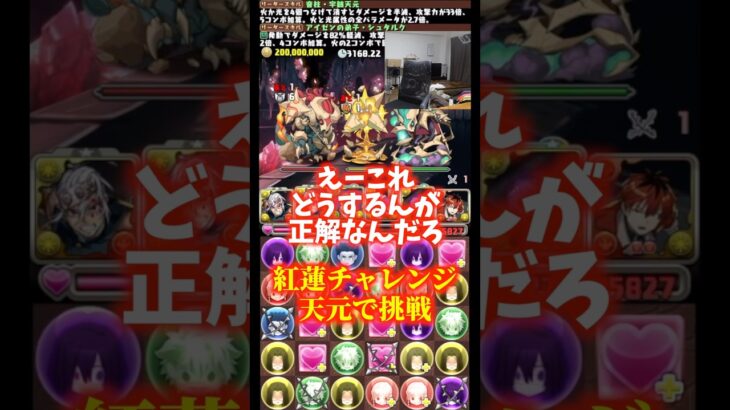 【汚い】突破口が見えた裏方 #たかし #パズドラ