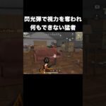 閃光弾で視力を奪われ何もできない猛者　#荒野行動