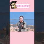 那些说不玩原神的，其实玩得最狠了！ #原神 #原神空月之歌