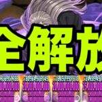 俺の完成した『上限全解放虚最強編成』見てくれよ　紅蓮　銀魂コラボ【パズドラ】