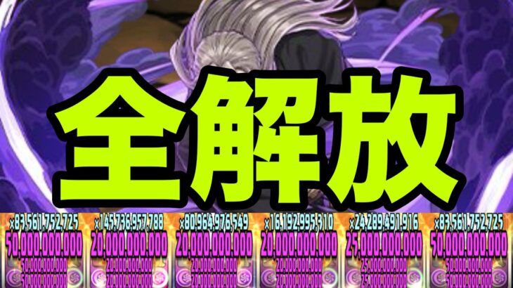 俺の完成した『上限全解放虚最強編成』見てくれよ　紅蓮　銀魂コラボ【パズドラ】