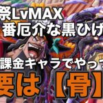 【トレクル】討伐祭LvMAX！厄介な黒ひげ編成を骨に託す！育成にやっては200万ダメージ可能！？