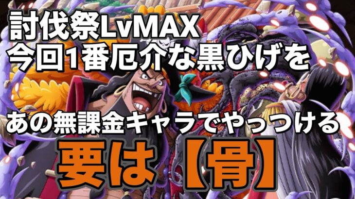 【トレクル】討伐祭LvMAX！厄介な黒ひげ編成を骨に託す！育成にやっては200万ダメージ可能！？