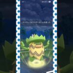 #使用率低くなったルンパッパをなめるな！#ポケモンgo #ポケモン #pokemongo