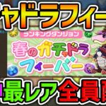 明日開催！ガチャドラフィーバーで神報酬配布！これだけは絶対に全員やろう！【パズドラ】