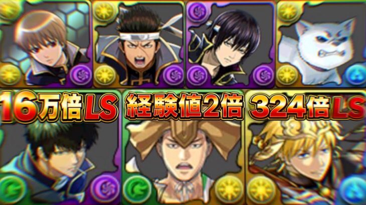 【賛否両論】100%調整ミス！石5個既存がぶっ壊れに⁈ 新キャラと既存強化がヤバすぎた銀魂コラボ【パズドラ】