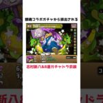 銀魂コラボ原作再現に関する雑学 #shorts #パズドラ #銀魂 #新八ガチャドラ