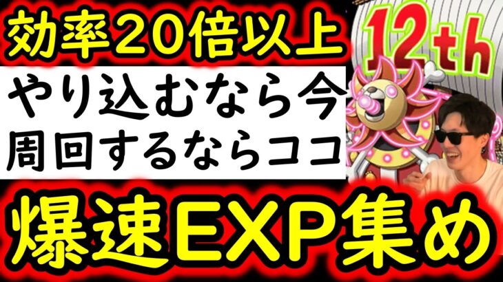 [トレクル]対スタミナ効率最高峰! 経験値を爆稼ぎ!! 神の12周年船爆誕!! 周回するならココ①!! 爆速フルオート周回!!!!! [12周年][OPTC][sugo fest]