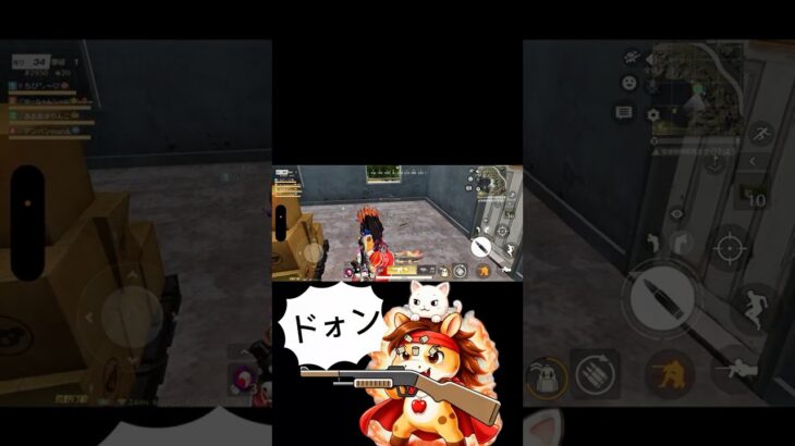 背負い箱にちゃんと入ってないと！#荒野行動 #りんぐん作戦本部 #ゲーム #荒野ショート#荒野gogofes