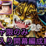 [トレクル]トレジャーマップVSベガパンクガチャ限入り編成紹介！黄猿なしでも…なんとかやれる！[OPTC][トレジャーマップ]