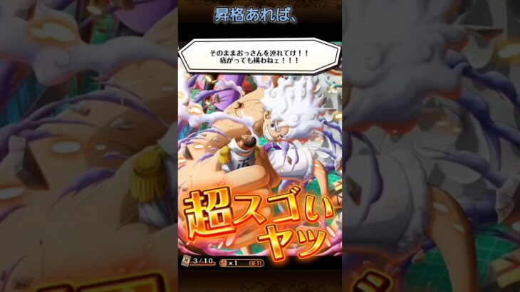 【トレクル】スタートダッシュガチャ・パーフェクトなるか？