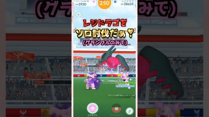 レジドラゴをソロ討伐!!グランブルver【ポケモンGO】