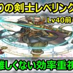 【ドラクエウォーク】#295 王道の武器ラインナップです