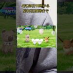 【ポケモンGO】成長する時間イベントが始まったので3人家族の色違いを狙おう！！ #ポケモン #ポケモンgo #イベント #色違い #イッカネズミ