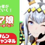ウマ娘　プリティーダービー　11　初心者プレイ、世の中チャンミとか言うてますけどここはあえて他のレースで遊びたい！ｗ
