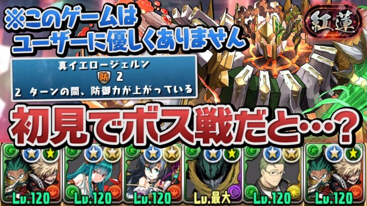 出遅れ紅蓮チャレンジ初見プレイでまさかのボス戦！？【パズドラ】