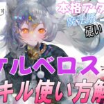 【メメントモリ】冥ケルベロスの解説と現在の評価、本格派なのにどの編成でも使えるね