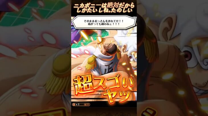 【トレクル】スタートダッシュガチャ