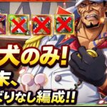 【トレクル】【トレジャーマップ】赤犬のみ！月末キャラ、ひばりなし編成