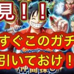 【トレクル】【超重要】今すぐこのガチャ引いておけ！航海日誌を埋めろ！