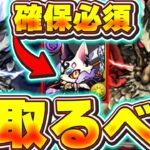 アマコズミは絶対確保！！まだ持ってない人は確保しておこう！！リュウウンサイとキョザンサイの出現条件・編成についても紹介！！【パズドラ実況】＃パズドラ
