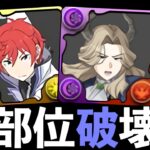 【妖コロシアム】頭空っぽハルトとバキバキリュグナーでクチナの部位破壊！100個集めるぞおおおおおおおおおおおおおおおおおおおおおおおおおお【パズドラ】