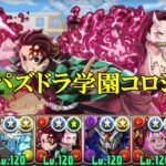 【私立パズドラ学園コロシアム】竈門炭治郎&竈門禰豆子✕竈門炭治郎&竈門禰豆子で周回＆攻略！！【パズドラ】【パズドラ学園】