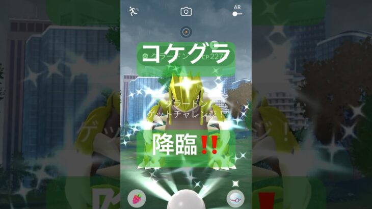 【伝説レイド】色違いのグラードンげっとちゃれんじ #ポケモンgo #pokemongo