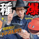 【ポケモンGO】ただの師匠イベントと見せかけて・・・！？ミミズポケモン「ミミズズ」がヤバすぎる！！色違いメルタンのチャンスが再びやって来るぞ！！【はがねの決意：前日確認】