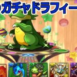 【パズドラ】春のガチャドラフィーバー！ やっていく