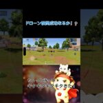 ドローンからのドロンッ　#荒野行動 #荒野gogofes #ゲーム #りんぐん作戦本部　#荒野検問